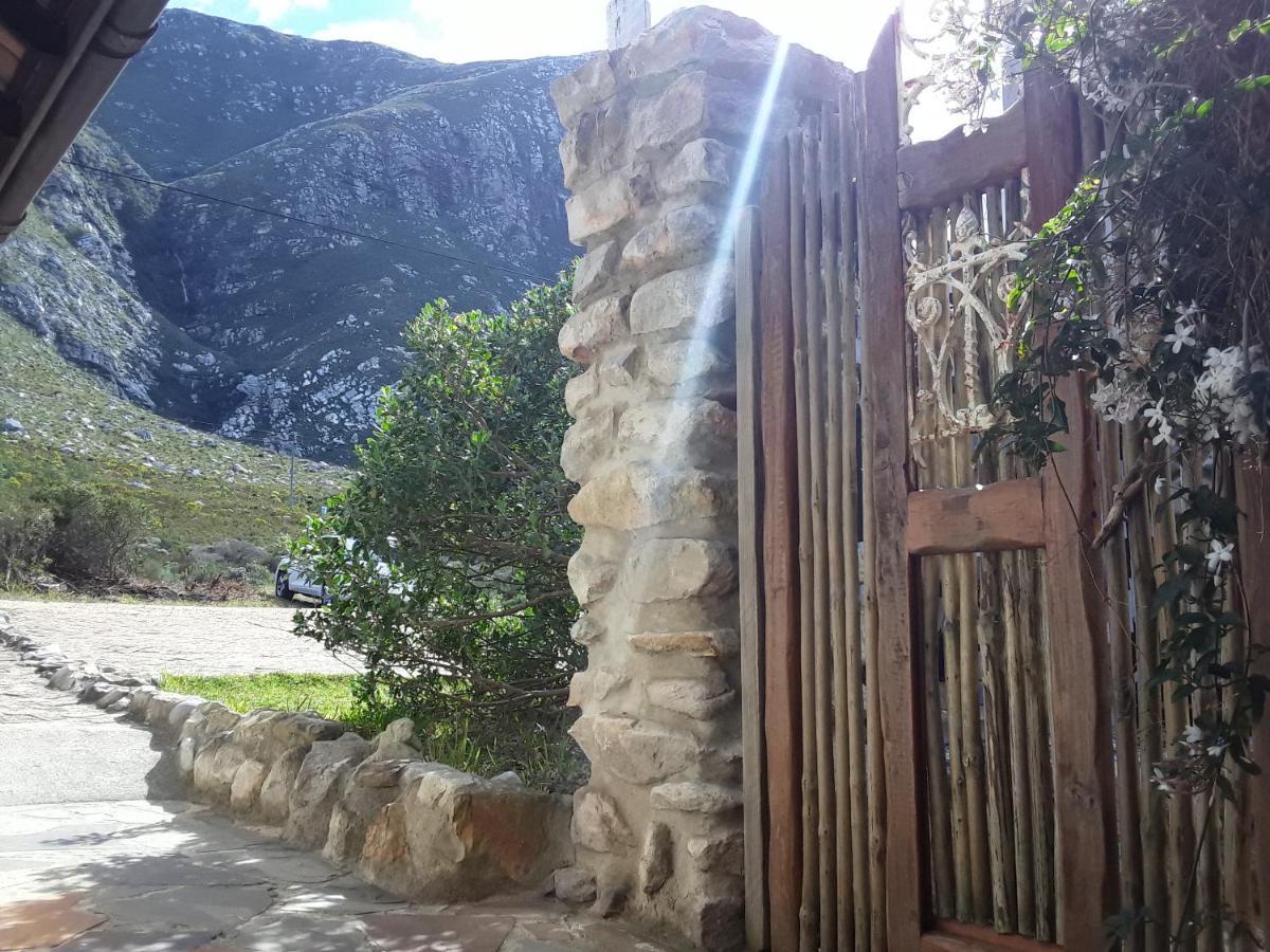 The Trailhouse Hotel Bettys Bay Ngoại thất bức ảnh